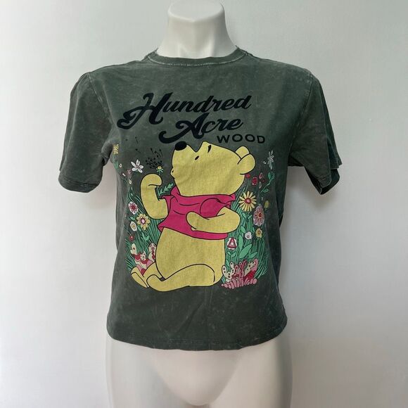 Disney Winnie the Pooh Hundred Acre Wood Graphic tee - Picture 1 of 4